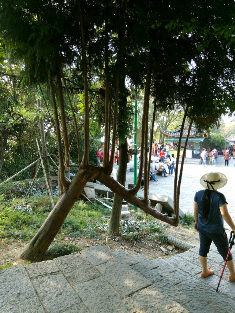 图片[151]-张家界天门山-2016年9月24日-聚微达人