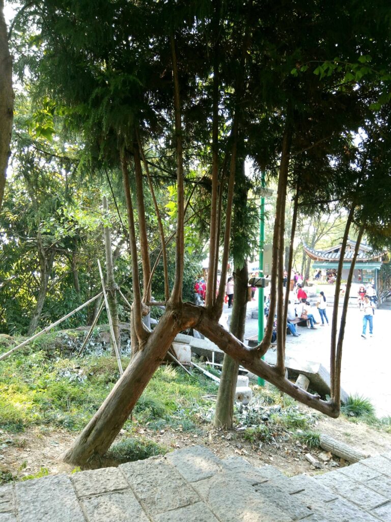 图片[152]-张家界天门山-2016年9月24日-聚微达人