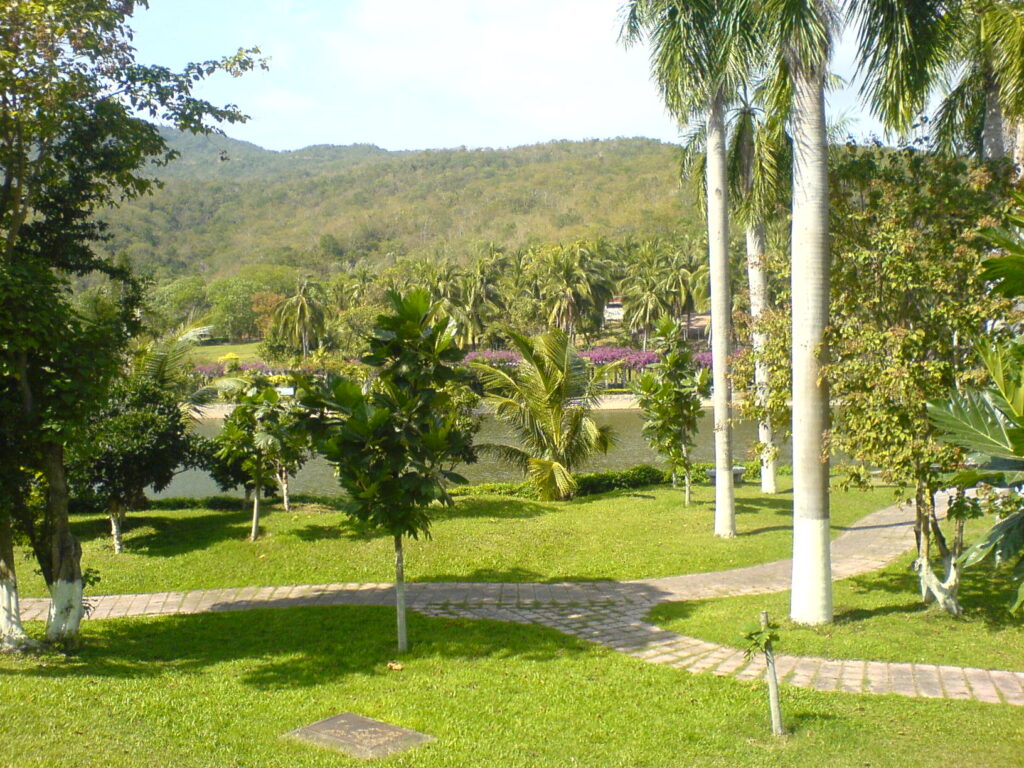 图片[5]-二十年前的海南比现在的海南怎么样-聚微达人