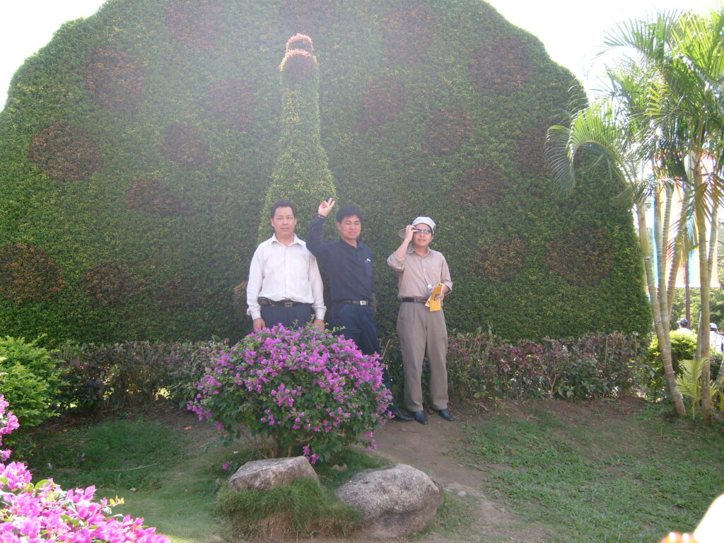 图片[23]-二十年前的海南比现在的海南怎么样-聚微达人