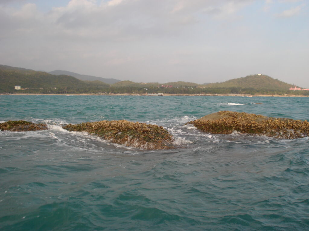 图片[22]-二十年前的海南比现在的海南怎么样-聚微达人