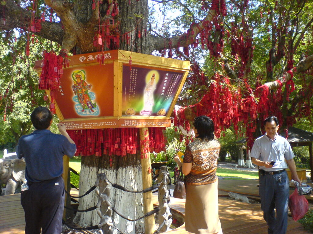 图片[58]-二十年前的海南比现在的海南怎么样-聚微达人