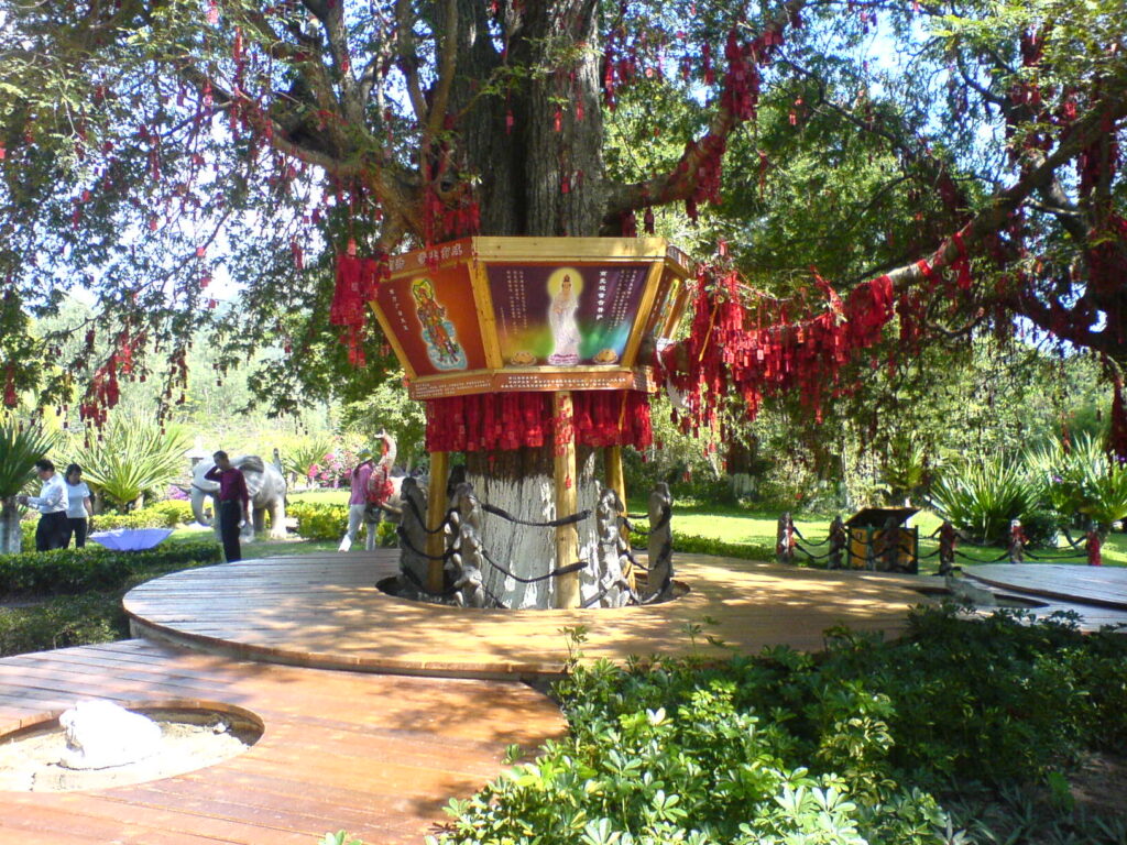 图片[57]-二十年前的海南比现在的海南怎么样-聚微达人