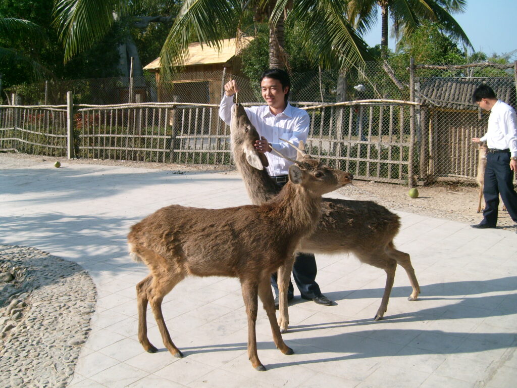 图片[50]-二十年前的海南比现在的海南怎么样-聚微达人