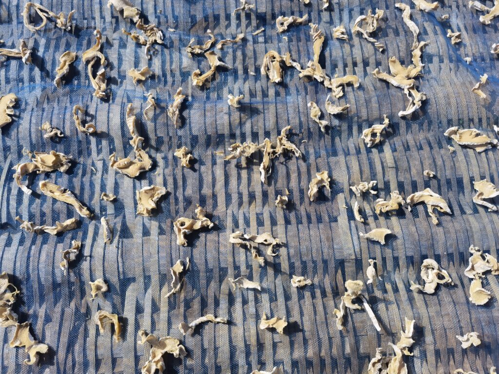 图片[8]-农村生活-清江小鱼煮干竹笋-聚微达人