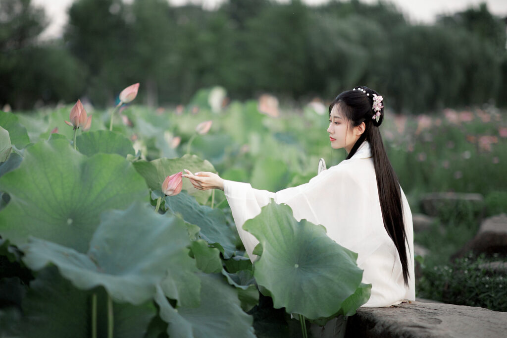 图片[13]-曲池采莲-谁歌采莲曲，渺渺渡前川-聚微达人