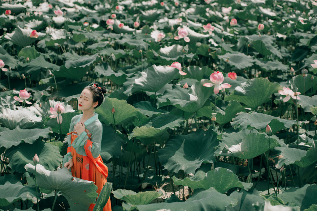 图片[4]-曲池采莲-谁歌采莲曲，渺渺渡前川-聚微达人