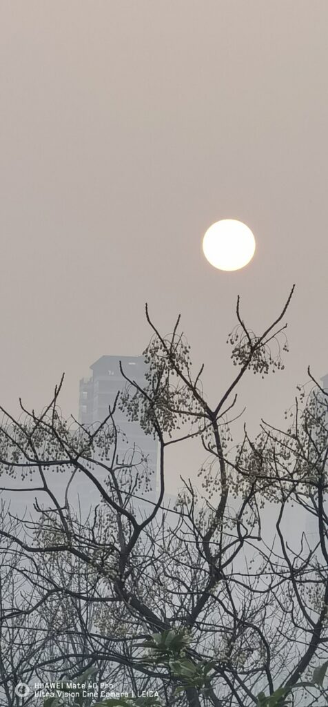 图片[20]-傍晚时分-月亮岛-聚微达人