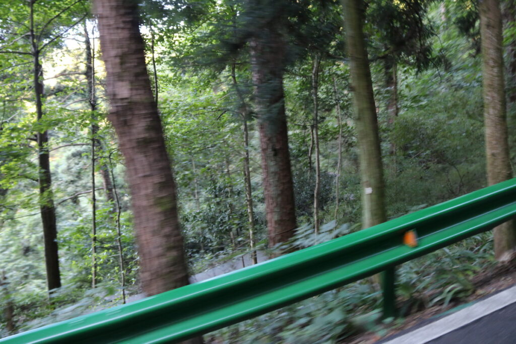 图片[4]-南岳之行-2015年8月3日-聚微达人