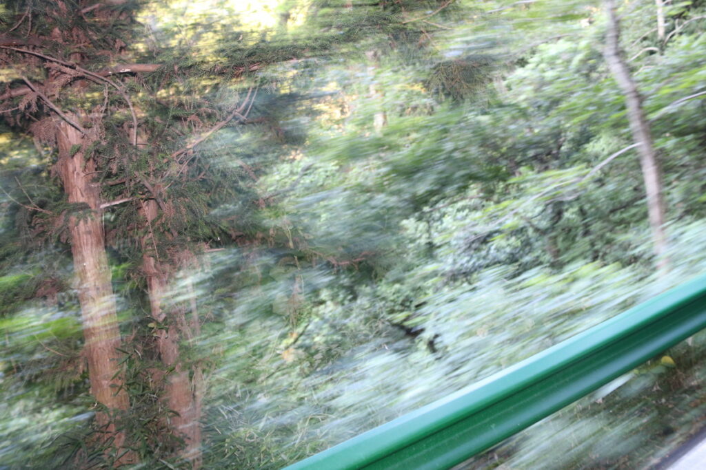 图片[6]-南岳之行-2015年8月3日-聚微达人