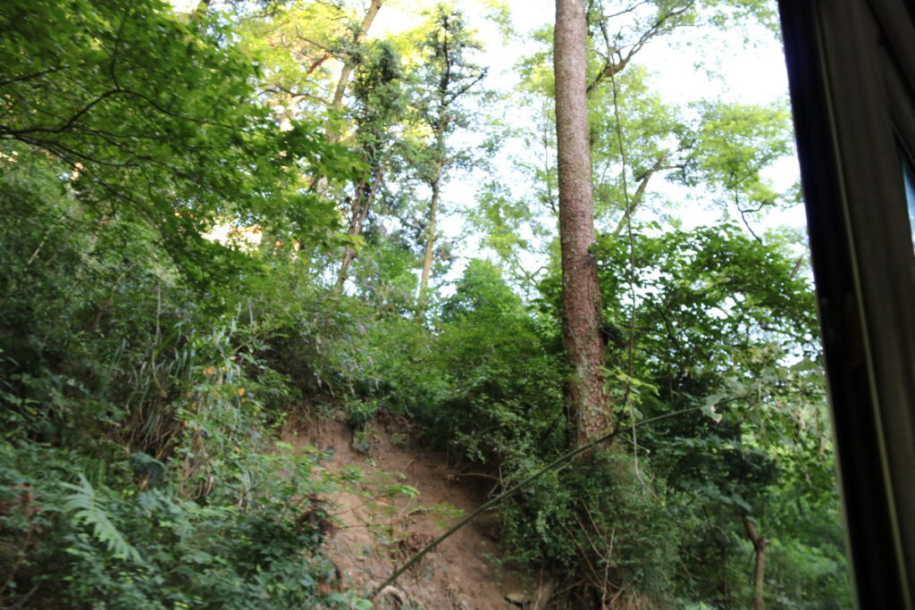 图片[7]-南岳之行-2015年8月3日-聚微达人