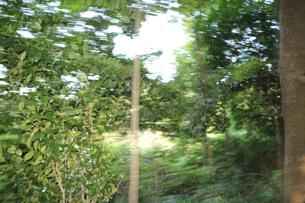 图片[9]-南岳之行-2015年8月3日-聚微达人