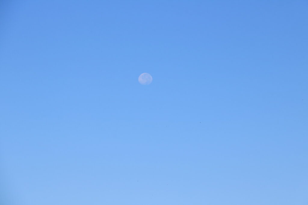 图片[24]-南岳之行-2015年8月3日-聚微达人