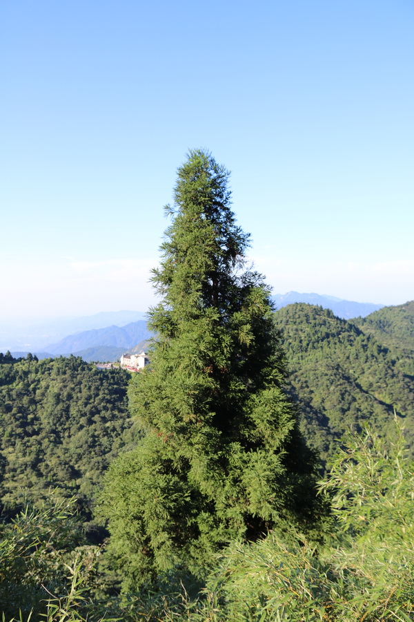 图片[25]-南岳之行-2015年8月3日-聚微达人