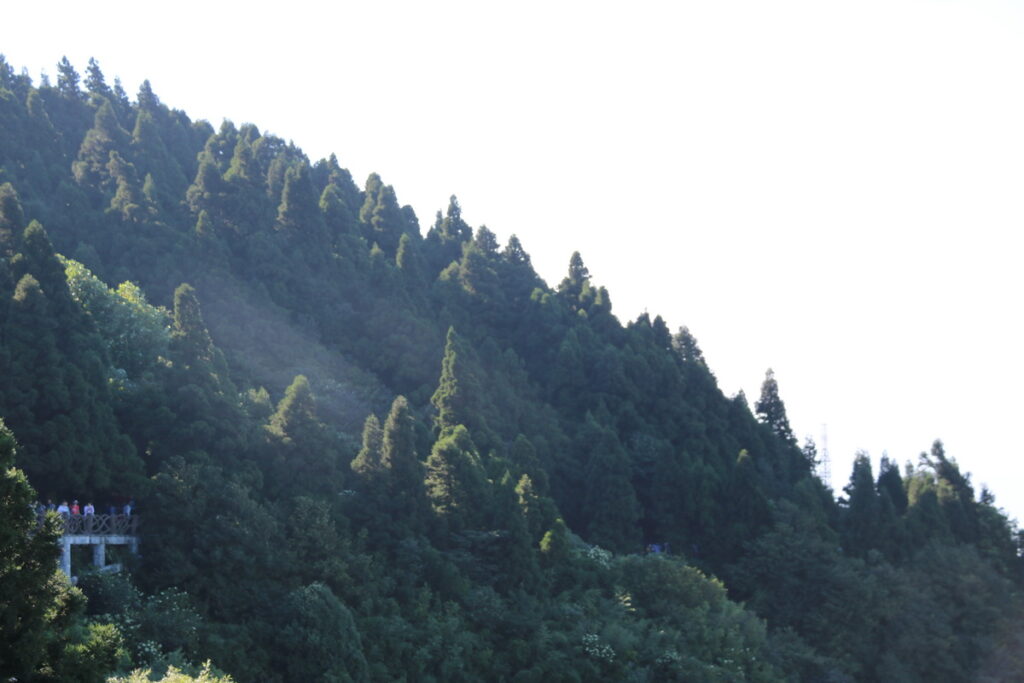 图片[49]-南岳之行-2015年8月3日-聚微达人