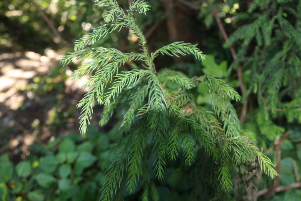 图片[71]-南岳之行-2015年8月3日-聚微达人