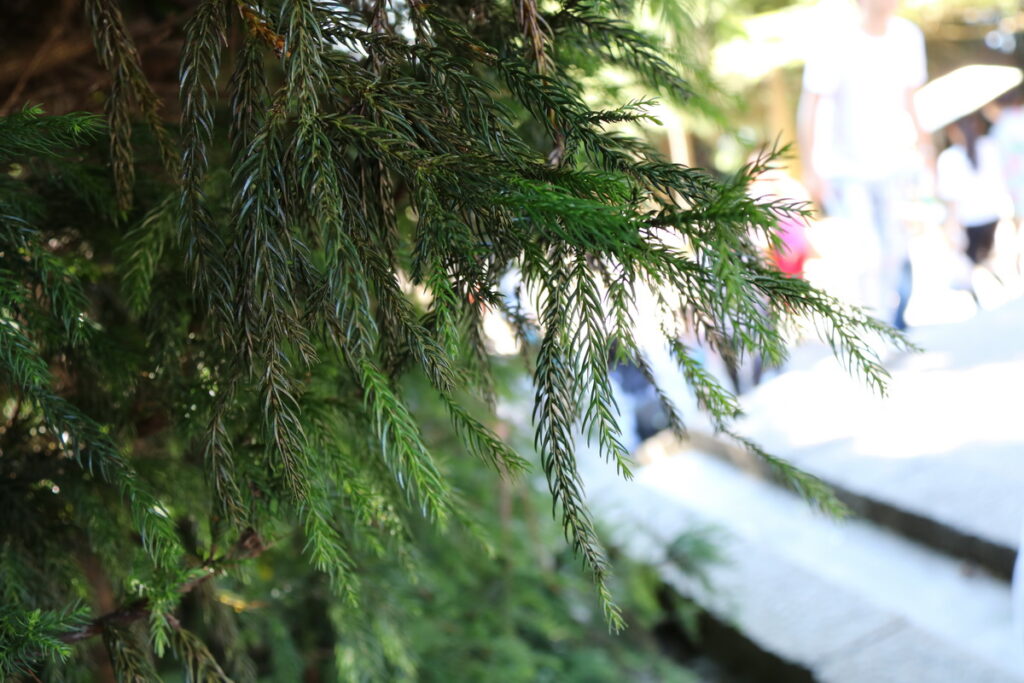 图片[72]-南岳之行-2015年8月3日-聚微达人