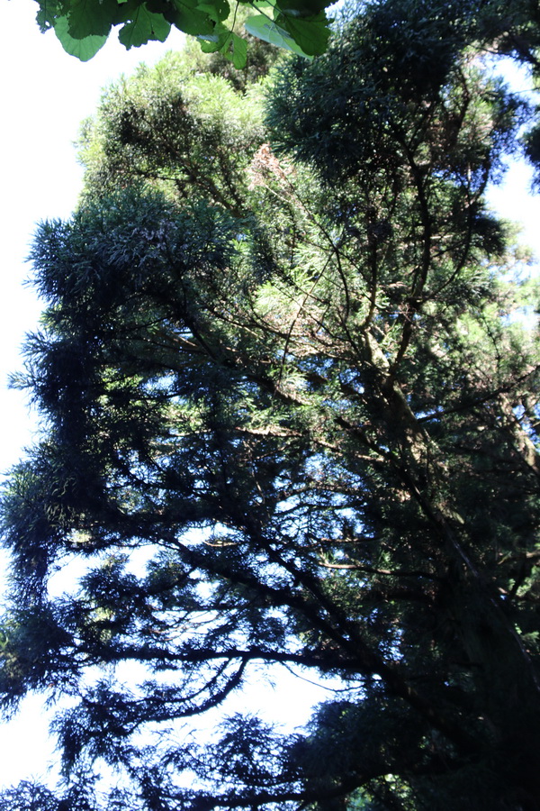 图片[92]-南岳之行-2015年8月3日-聚微达人