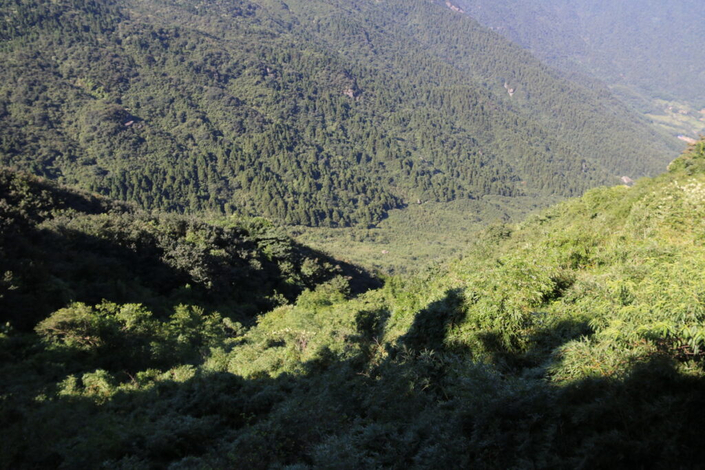 图片[97]-南岳之行-2015年8月3日-聚微达人