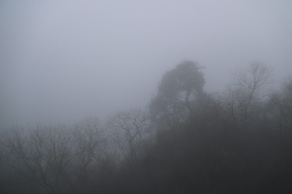 图片[45]-十一月的张家界-2015年11月20日-聚微达人