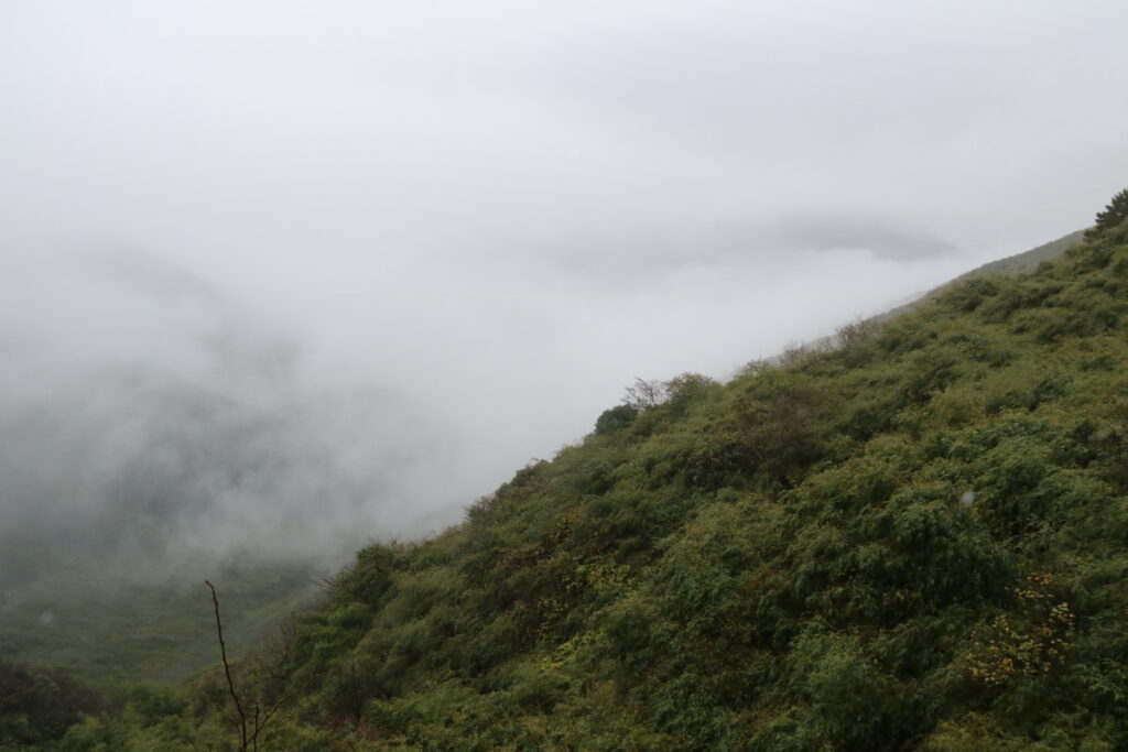 图片[2]-十一月的张家界-2015年11月20日-聚微达人