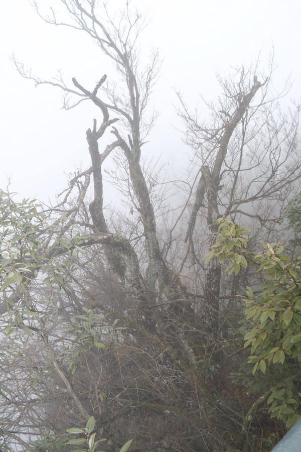 图片[83]-十一月的张家界-2015年11月20日-聚微达人