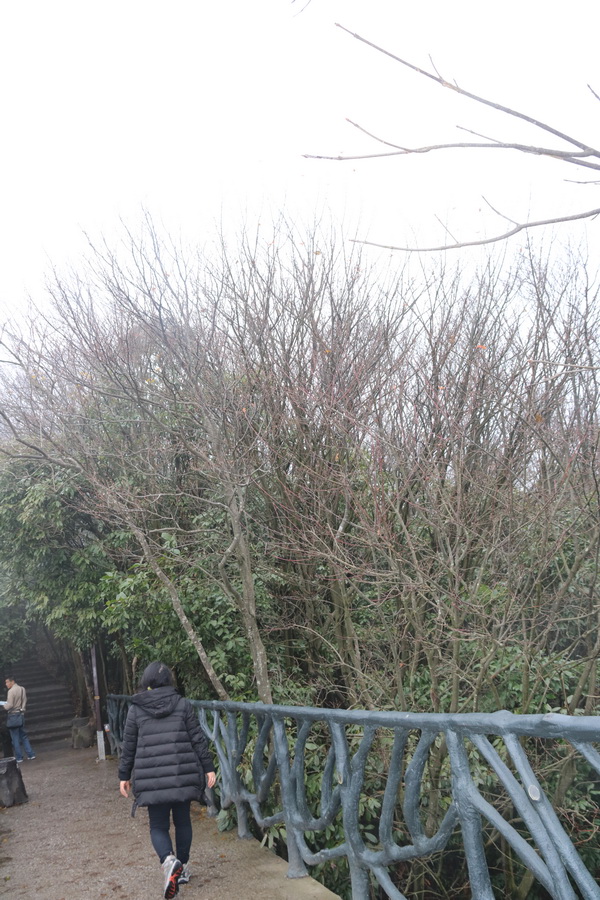 图片[78]-十一月的张家界-2015年11月20日-聚微达人