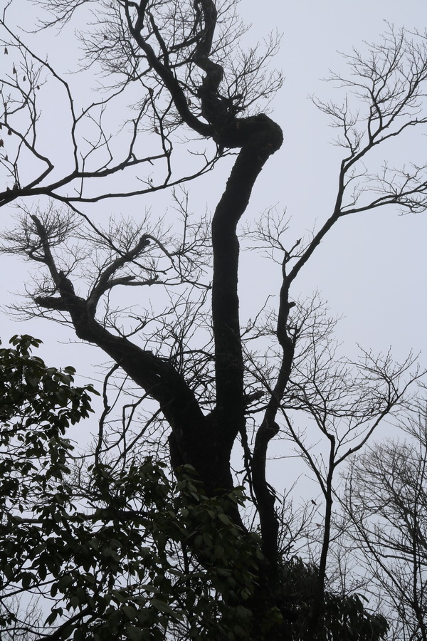 图片[22]-十一月的张家界-2015年11月20日-聚微达人