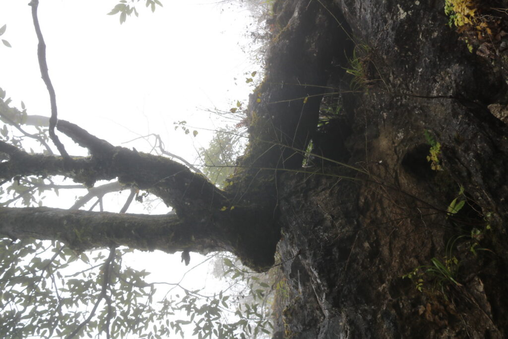 图片[10]-十一月的张家界-2015年11月20日-聚微达人