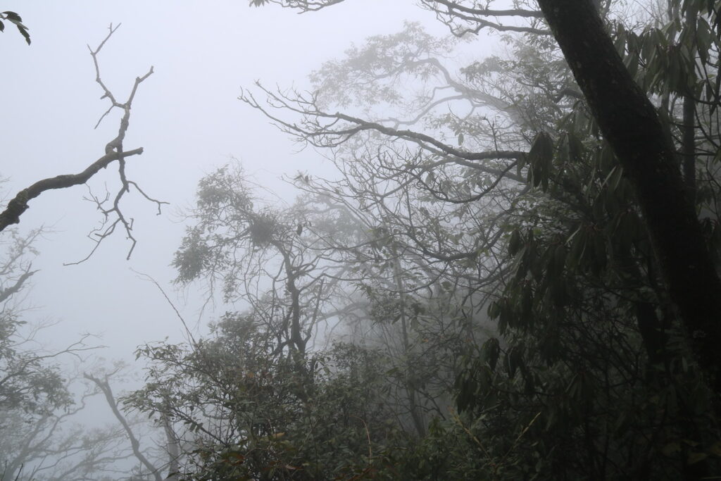 图片[14]-十一月的张家界-2015年11月20日-聚微达人