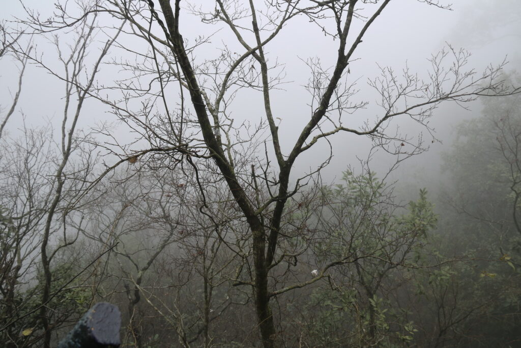 图片[12]-十一月的张家界-2015年11月20日-聚微达人