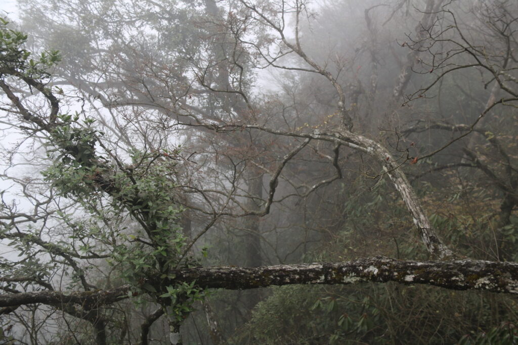 图片[80]-十一月的张家界-2015年11月20日-聚微达人