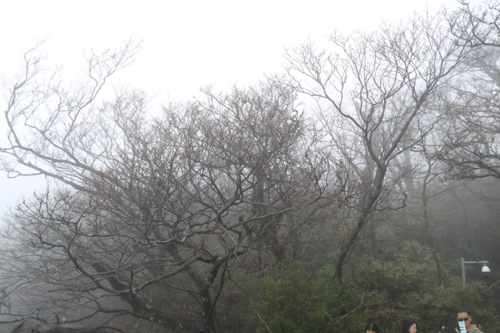 图片[27]-十一月的张家界-2015年11月20日-聚微达人