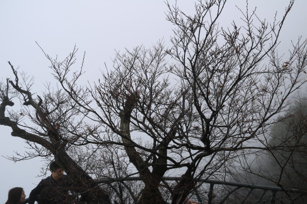 图片[25]-十一月的张家界-2015年11月20日-聚微达人