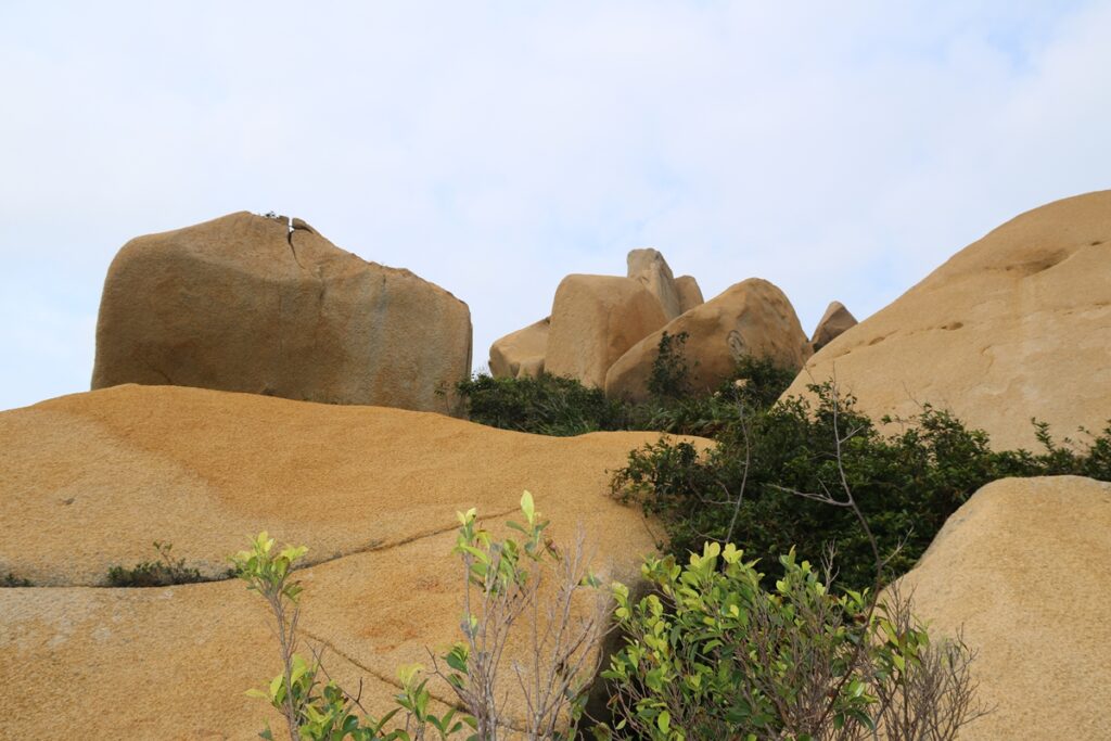 图片[33]-自驾那琴半岛-2016年3月6日-聚微达人