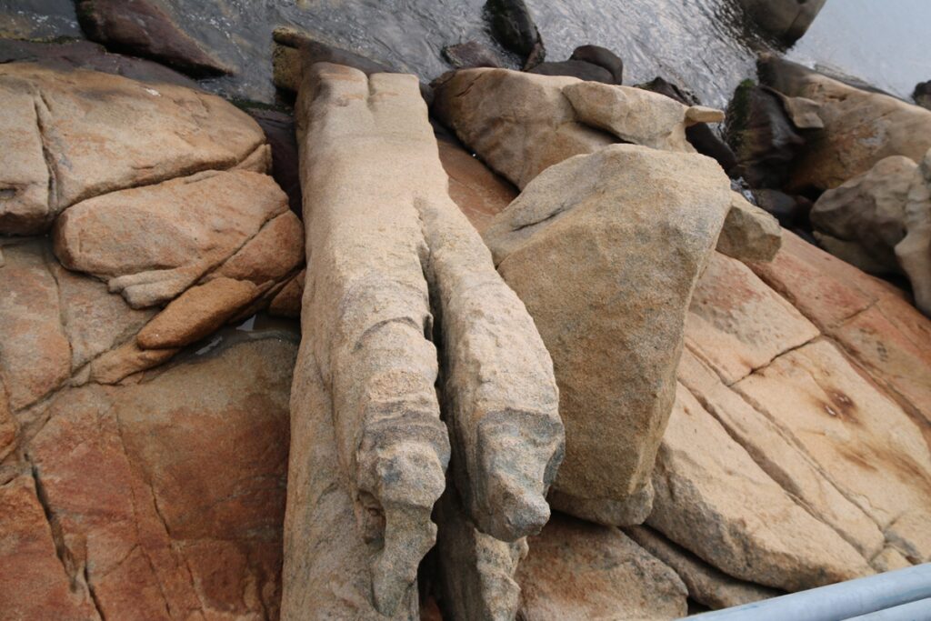 图片[27]-自驾那琴半岛-2016年3月6日-聚微达人