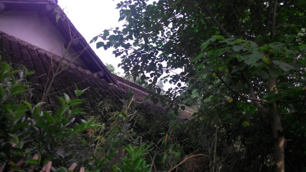 图片[16]-西湖灵隐寺-飞来峰雷锋塔-2014年5月12日-聚微达人