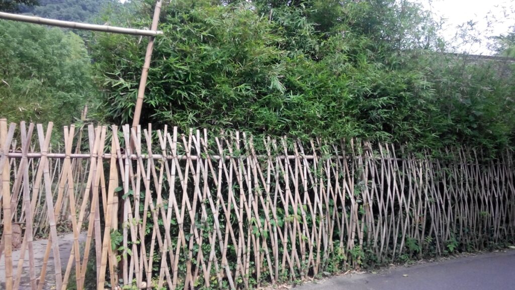 图片[15]-西湖灵隐寺-飞来峰雷锋塔-2014年5月12日-聚微达人