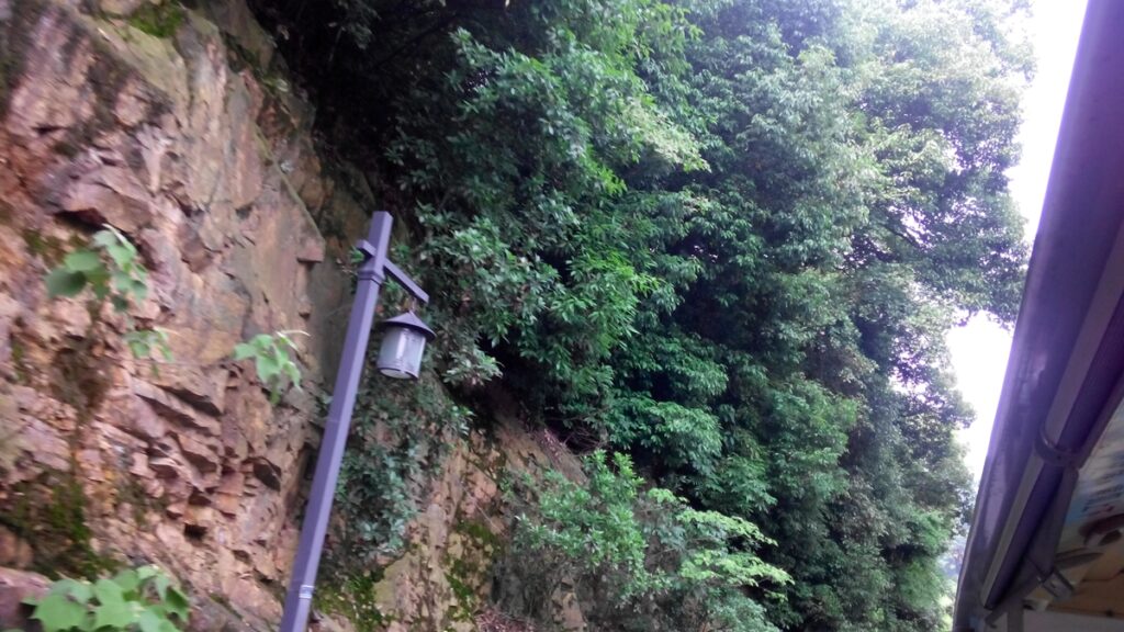 图片[19]-西湖灵隐寺-飞来峰雷锋塔-2014年5月12日-聚微达人