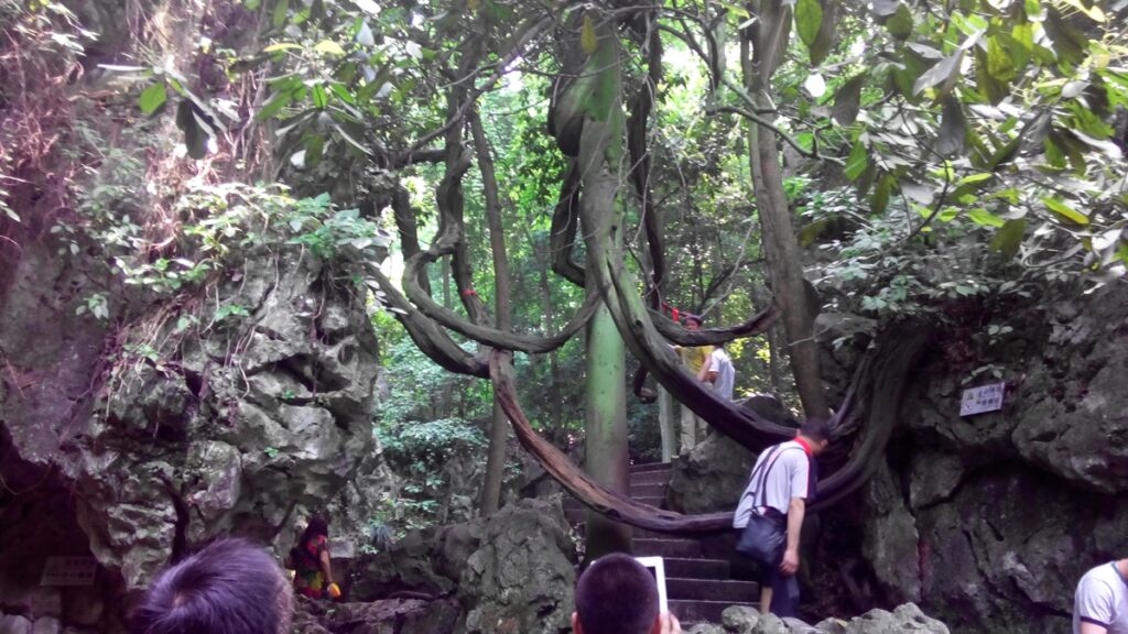 图片[7]-西湖灵隐寺-飞来峰雷锋塔-2014年5月12日-聚微达人