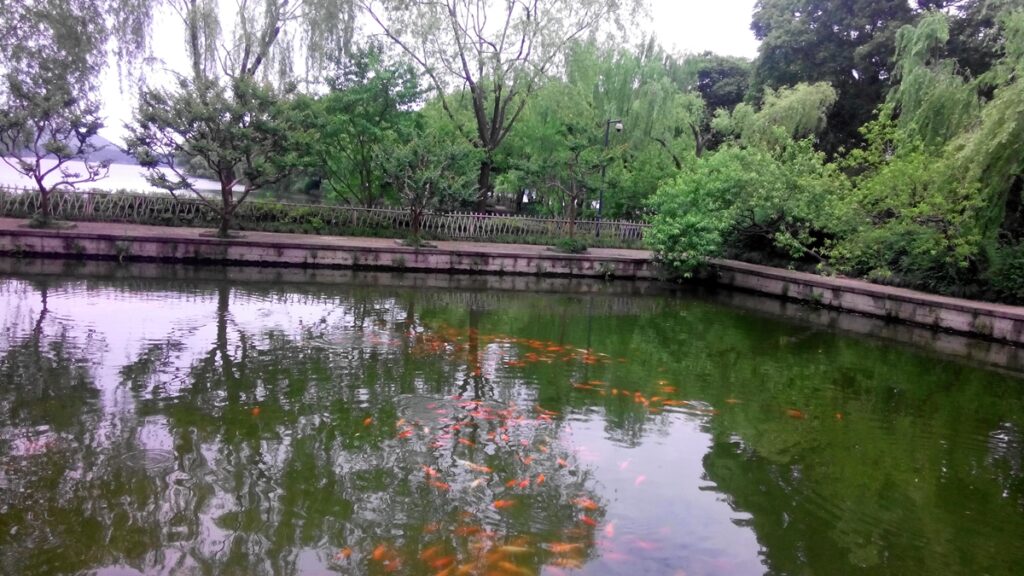 图片[57]-西湖灵隐寺-飞来峰雷锋塔-2014年5月12日-聚微达人