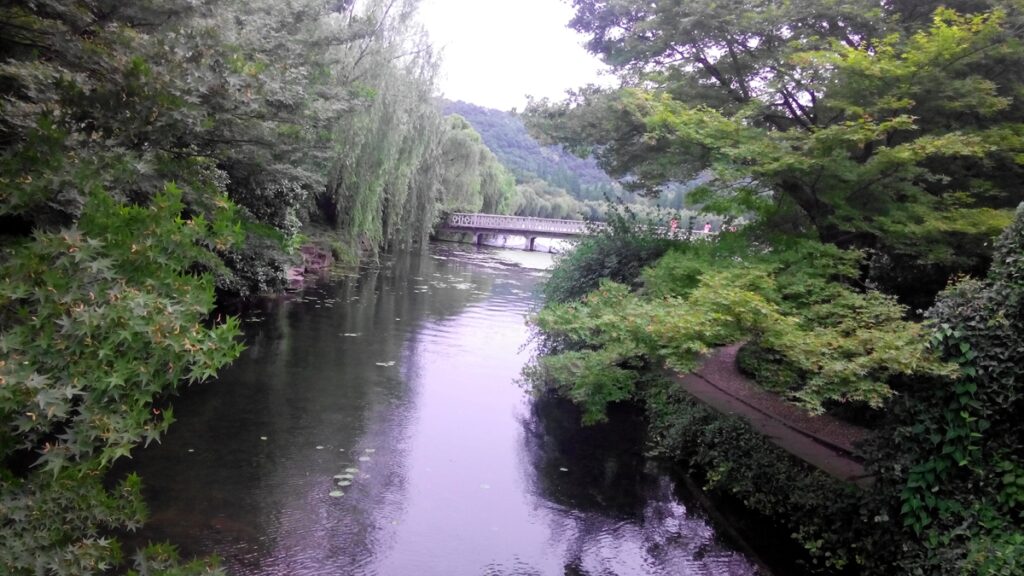 图片[59]-西湖灵隐寺-飞来峰雷锋塔-2014年5月12日-聚微达人