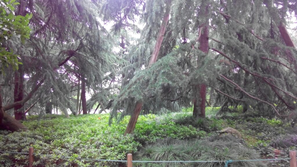 图片[51]-西湖灵隐寺-飞来峰雷锋塔-2014年5月12日-聚微达人