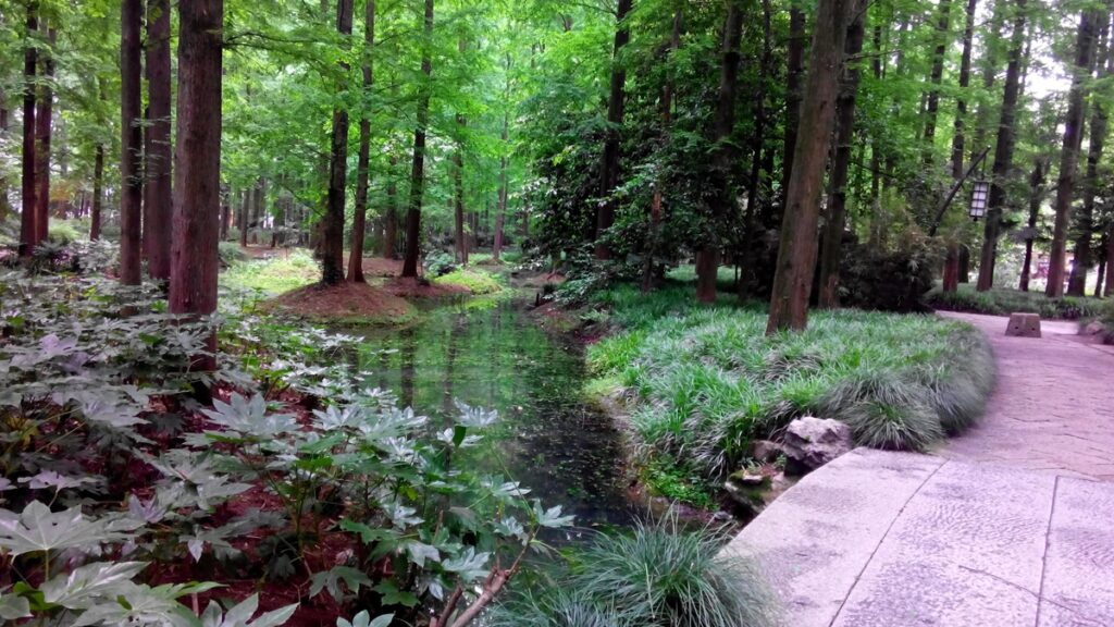 图片[46]-西湖灵隐寺-飞来峰雷锋塔-2014年5月12日-聚微达人