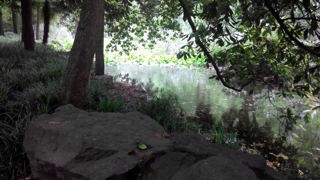 图片[47]-西湖灵隐寺-飞来峰雷锋塔-2014年5月12日-聚微达人