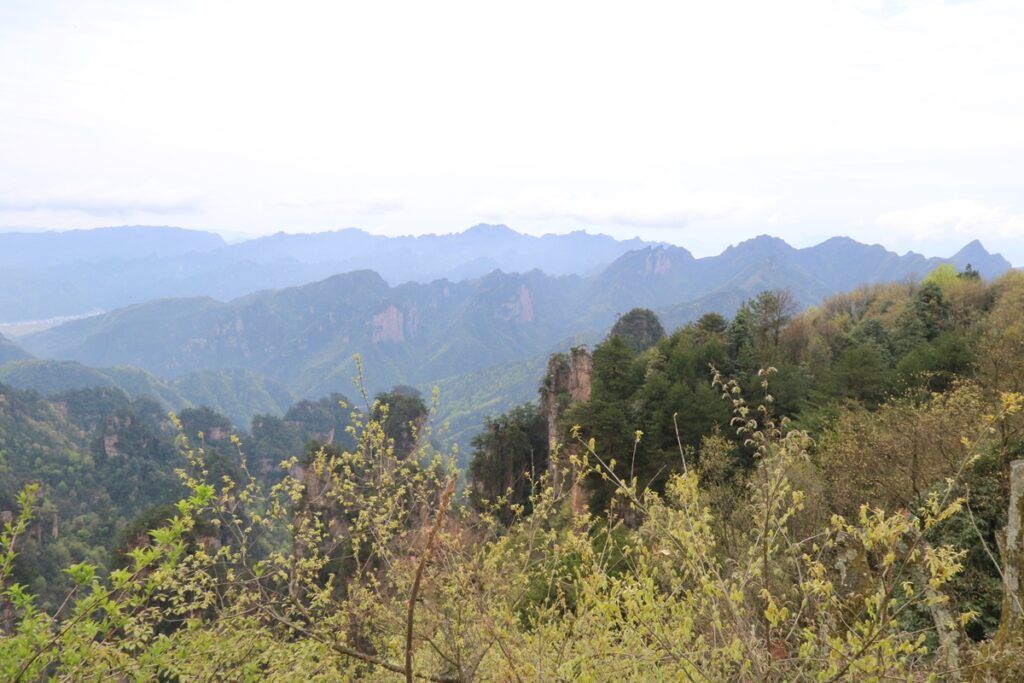 图片[33]-张家界天门山-2016年4月8日-聚微达人