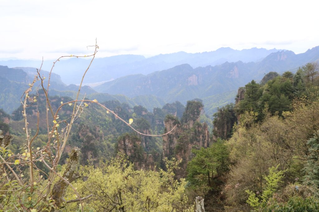 图片[32]-张家界天门山-2016年4月8日-聚微达人