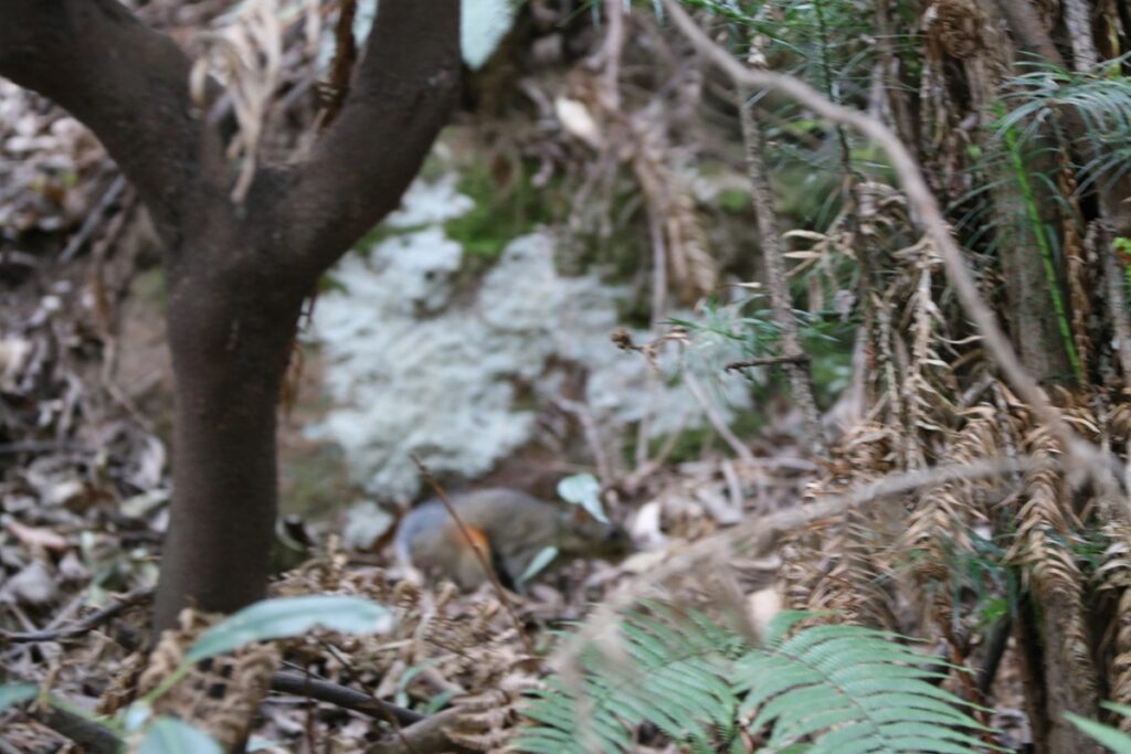 图片[73]-张家界天门山-2016年9月24日-聚微达人