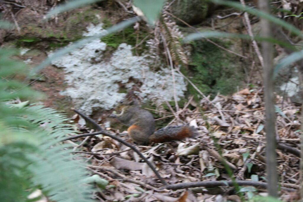 图片[77]-张家界天门山-2016年9月24日-聚微达人