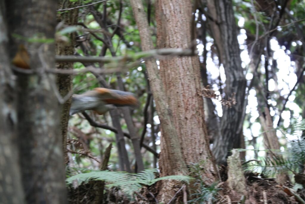 图片[72]-张家界天门山-2016年9月24日-聚微达人